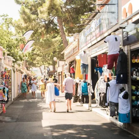 Grand 6 A 50m De La *